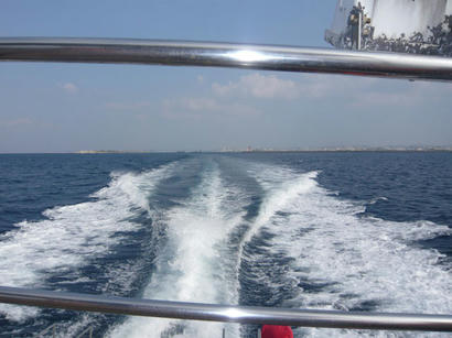 20100120_02.jpg