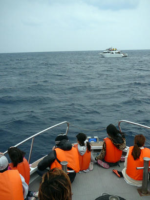 20100120_03.jpg