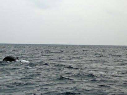 20100120_06.jpg