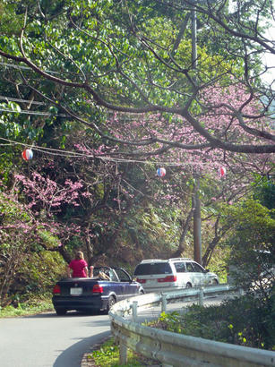 20100218_04.jpg