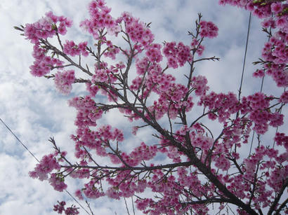 20100218_06.jpg