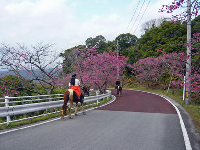 20100218_07.jpg