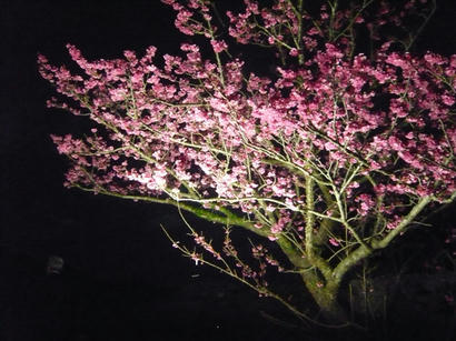 20100218_09.jpg