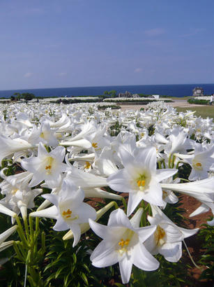 20100507_05.jpg