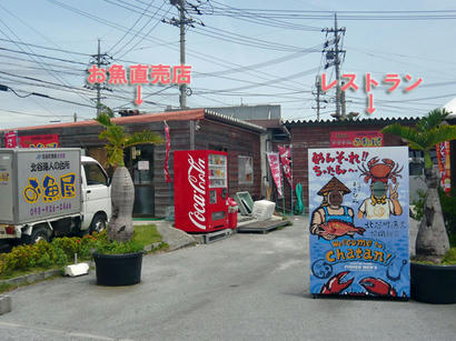 20100514_1.jpg