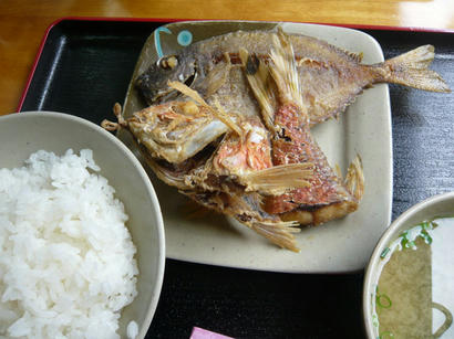 20100514_5.jpg