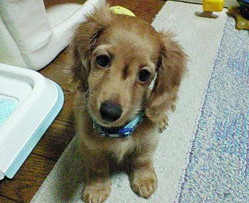 200703041728001_ed.jpg