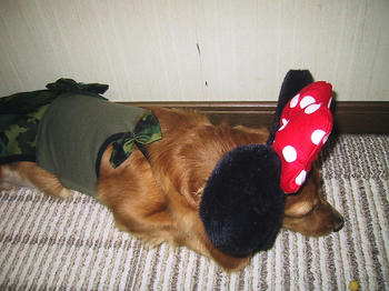 IMG_1634.JPG