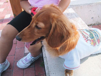IMG_1717.JPG