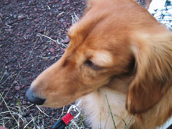 IMG_1784.JPG