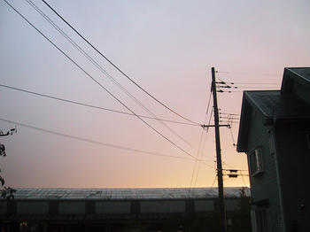 IMG_1968.JPG