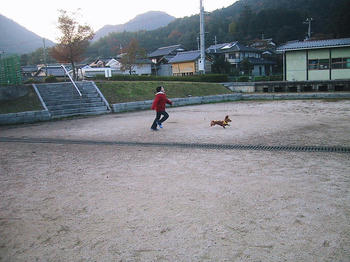 IMG_2097.JPG