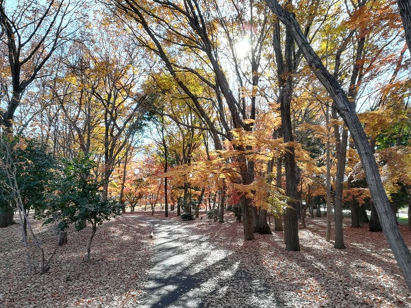 野川公園（三鷹市）