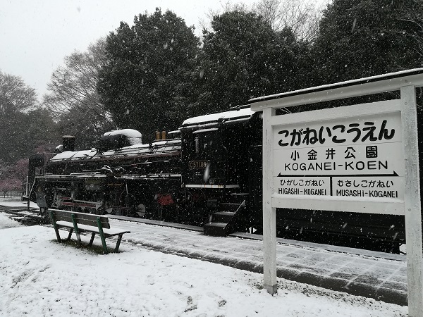 小金井公園のSL展示場
