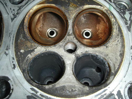 head1.jpg