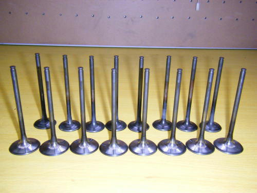newvalves.jpg