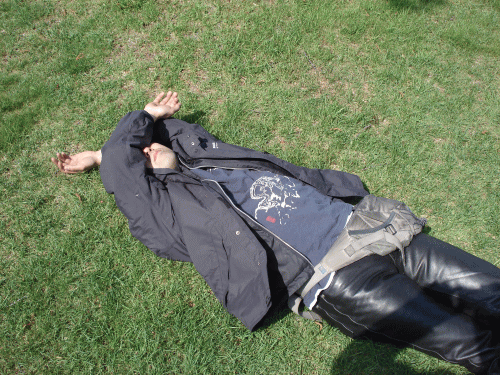 0805186.gif