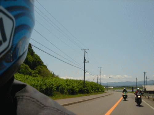 063.gif
