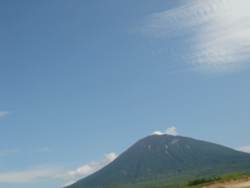 067.gif