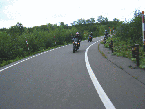 08173.gif