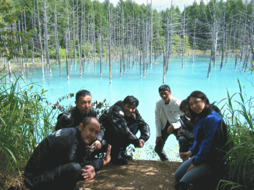 08175.gif