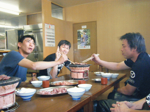 08177.gif