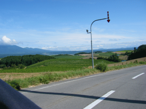 081711.gif