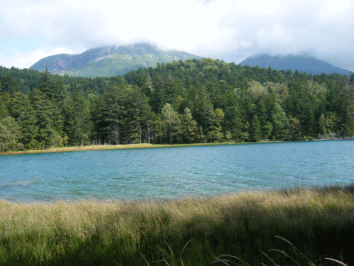 09241.gif