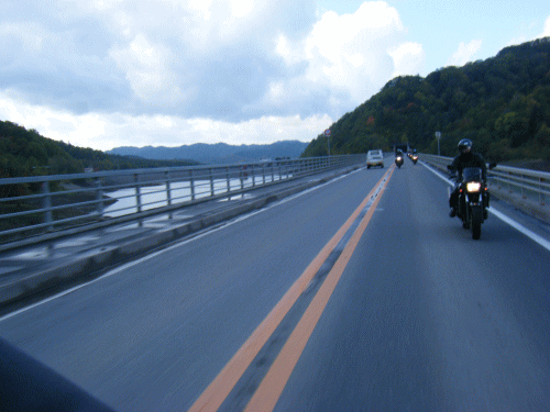 10042.gif