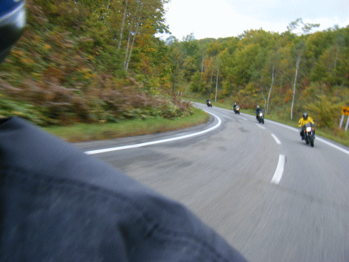 10044.gif