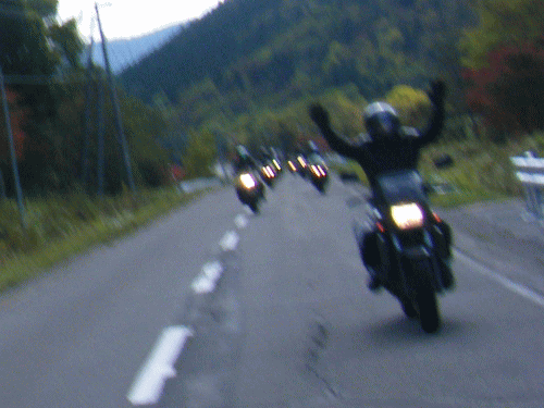 100420.gif