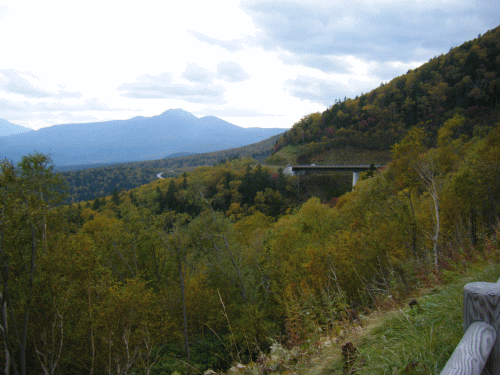 100424.gif
