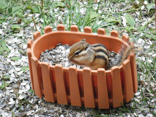 100425.gif