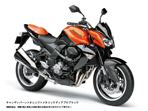 z1000_org.gif