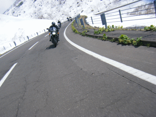 0905105.gif