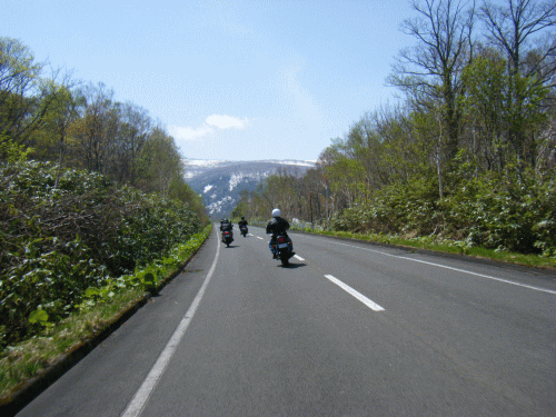 0905108.gif