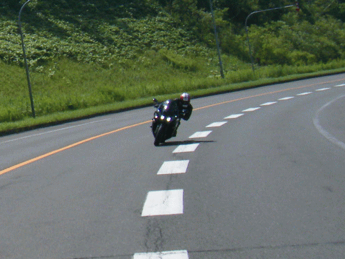 200908081.gif