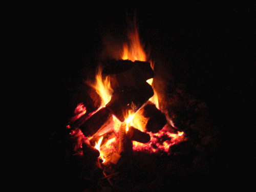 2009080817.gif
