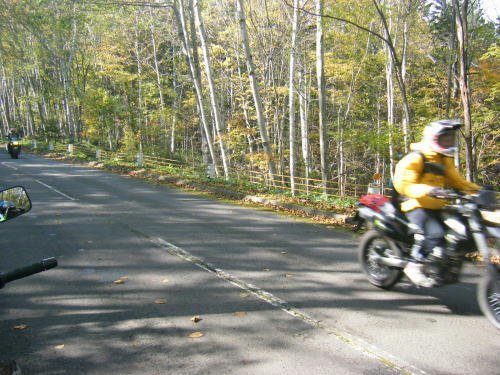 2009100310.jpg