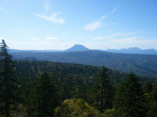 2009100334.jpg