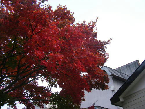2009100342.jpg