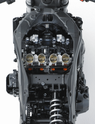 zr1000daf7.gif