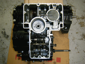 z8.gif