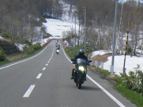 1005164.gif