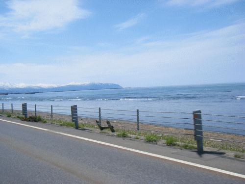 1005169.gif