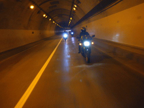 10051615.gif