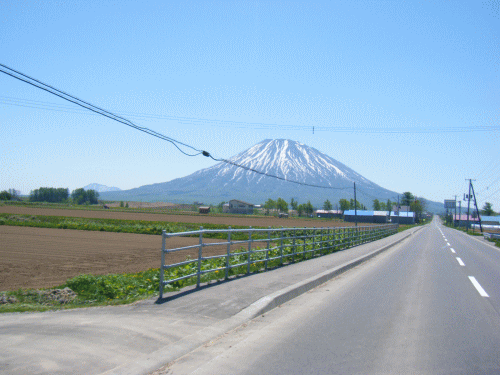 100603.gif