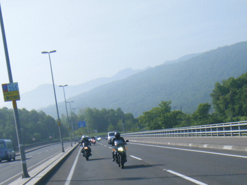 1006133.gif