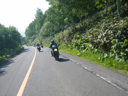 1006135.gif