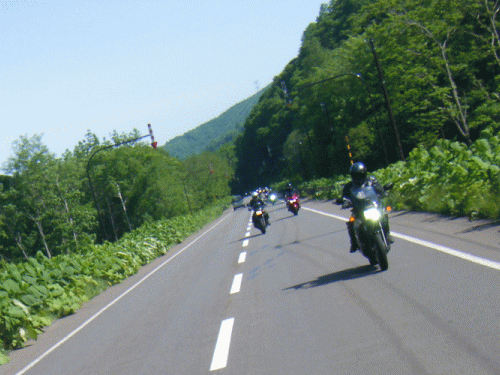 1006136.gif